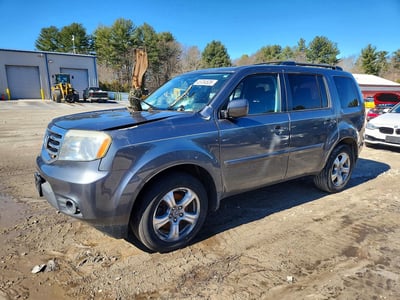 5FNYF3H71DB****** 2013 Honda Pilot