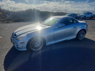 WDBWK5EA4AF****** 2010 Mercedes-Benz SLK-Class