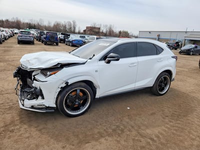 JTJSARDZ6L5****** 2020 Lexus NX