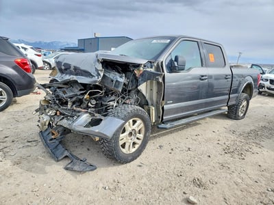 1FTFW1EG1FK****** 2015 Ford F-150