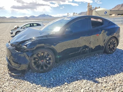 7SAYGDEE9PF****** 2023 Tesla Model Y