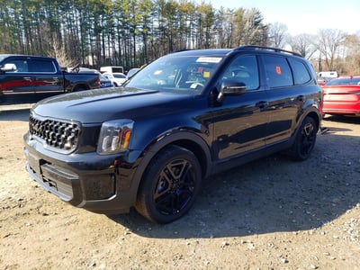 5XYP3DGC5SG****** 2025 Kia Telluride