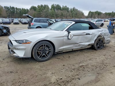 2019 Ford Mustang