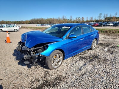 5NPE34AF0KH****** 2019 Hyundai Sonata