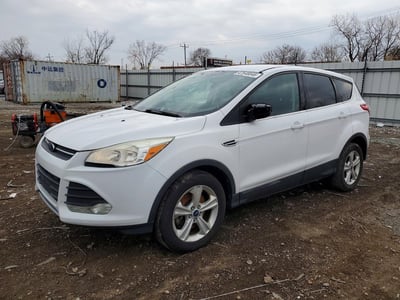 1FMCU0G93EU****** 2014 Ford Escape