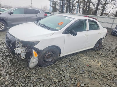 2T1BU4EE3AC****** 2010 Toyota Corolla