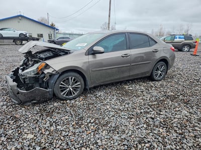 2T1BURHE6KC****** 2019 Toyota Corolla