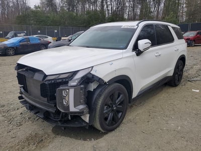 KM8R3DGE7PU****** 2023 Hyundai Palisade