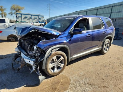 5FNYG1H44PB****** 2023 Honda Pilot