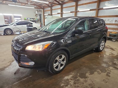 1FMCU0GX7EU****** 2014 Ford Escape