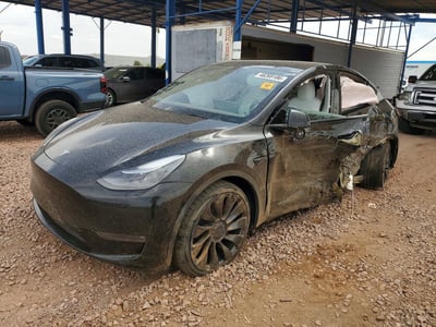 7SAYGDEF0PF****** 2023 Tesla Model Y