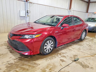 4T1B31HK2KU****** 2019 Toyota Camry