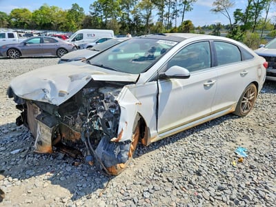 5NPE34AB7HH****** 2017 Hyundai Sonata