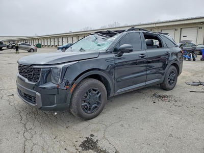5XYRKDJF1RG****** 2024 Kia Sorento