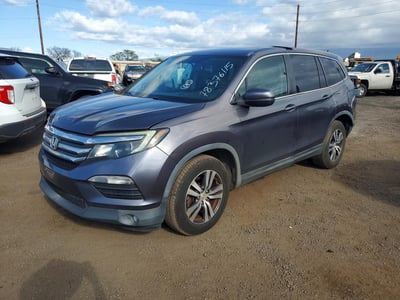 5FNYF5H70GB****** 2016 Honda Pilot