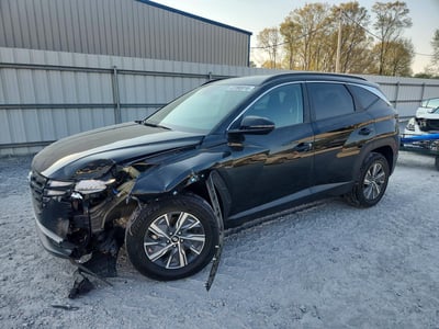KM8JBCA11PU****** 2023 Hyundai Tucson