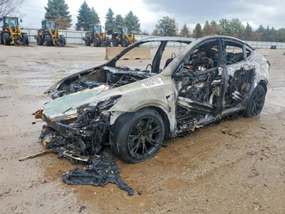 7SAYGDEE0RF****** 2024 Tesla Model Y