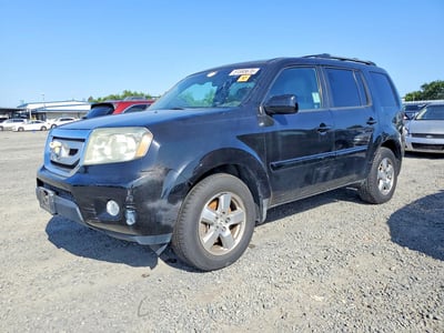 5FNYF4H48BB****** 2011 Honda Pilot