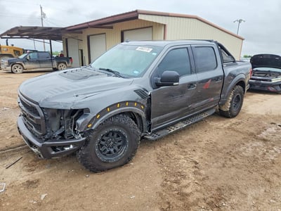 1FTFW1RG6LF****** 2020 Ford F-150