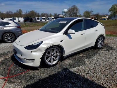 7SAYGDEE4PF****** 2023 Tesla Model Y