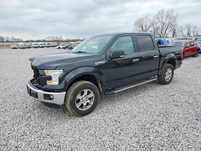 1FTEW1EF3FF****** 2015 Ford F-150