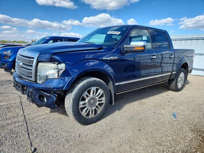 1FTPW14V89F****** 2009 Ford F-150