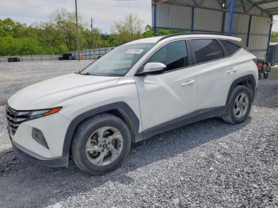 5NMJB3AE7PH****** 2023 Hyundai Tucson