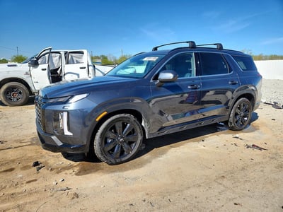 2025 Hyundai Palisade