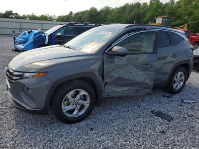 5NMJB3DE2RH****** 2024 Hyundai Tucson