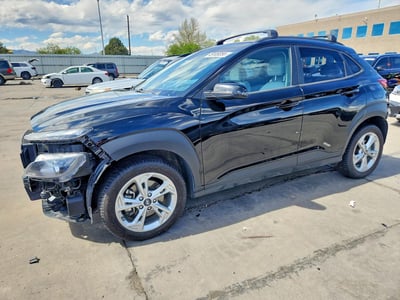 KM8K6CAB4PU****** 2023 Hyundai Kona