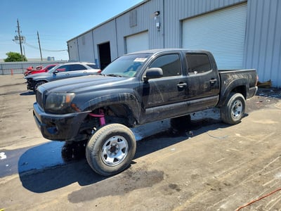 3TMJU62NX6M****** 2006 Toyota Tacoma
