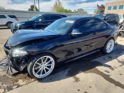 WBA1J9C59GV****** 2016 BMW M2