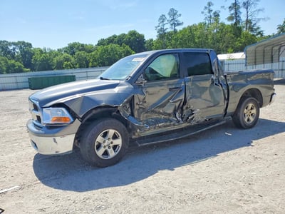 1D3HB13P39S****** 2009 Dodge Ram 1500