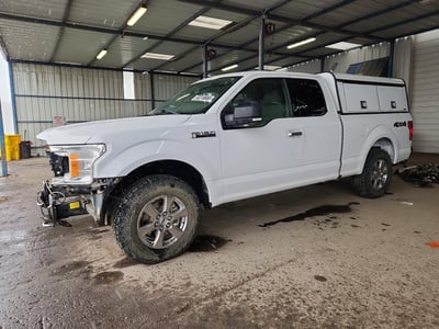 1FTFX1E59KK****** 2019 Ford F-150