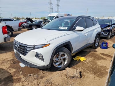 5NMJB3DE6RH****** 2024 Hyundai Tucson