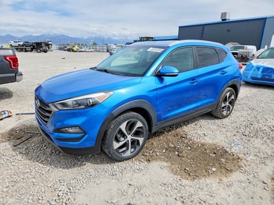 KM8J3CA26GU****** 2016 Hyundai Tucson
