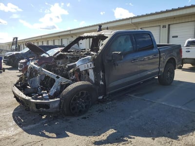 1FTFW3L8XRK****** 2024 Ford F-150