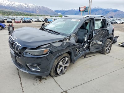 1C4PJMDX5KD****** 2019 Chrysler Cherokee