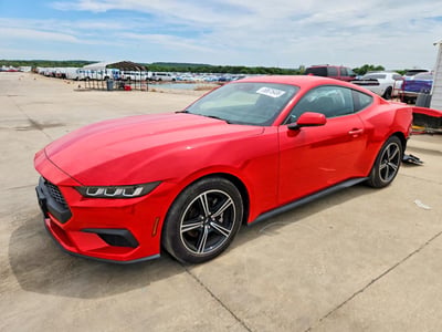 1FA6P8TH7R5****** 2024 Ford Mustang