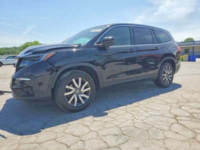 5FNYF6H55KB****** 2019 Honda Pilot