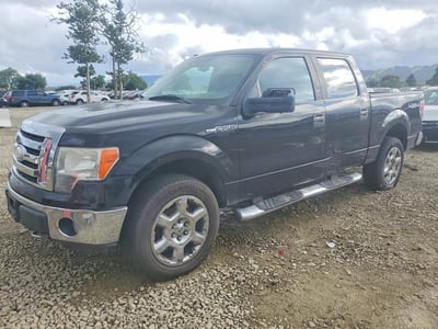 2009 Ford F-150