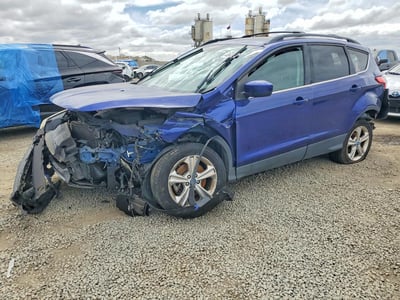 1FMCU0G93DU****** 2013 Ford Escape
