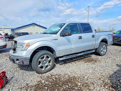 1FTFW1EF0EK****** 2014 Ford F-150