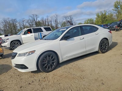 19UUB2F73FA****** 2015 Acura TLX