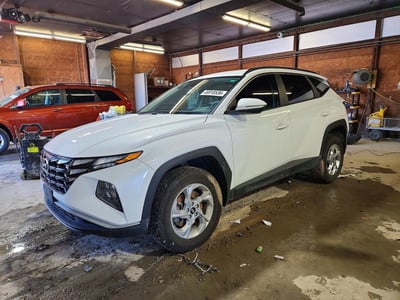 5NMJBCAE6NH****** 2022 Hyundai Tucson