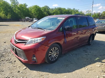 5TDYZ3DCXLS****** 2020 Toyota Sienna