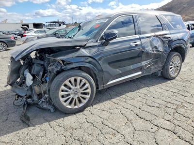 KM8R54HEXLU****** 2020 Hyundai Palisade