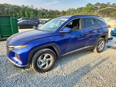 5NMJBCDE5RH****** 2024 Hyundai Tucson