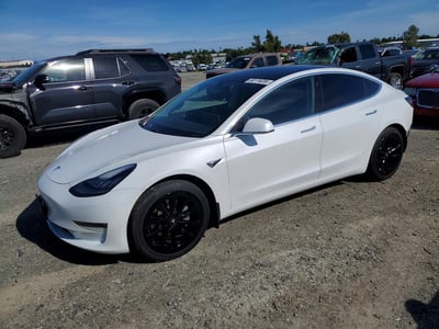 5YJ3E1EB1KF****** 2019 Tesla Model 3