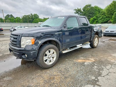 1FTFW1EV5AF****** 2010 Ford F-150